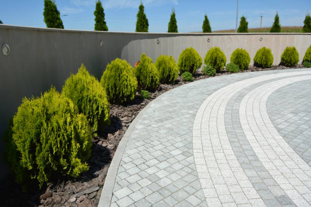Best Local Driveway Pavers  in Winterville, NC